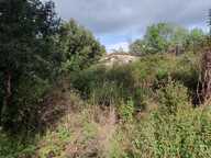 Terrain de 3 000 m² à vendre – Petreto-Bicchisano — photo 3