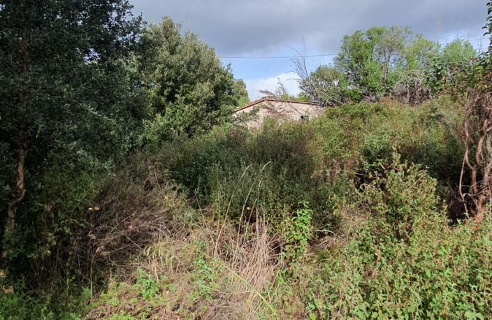 Terrain de 3 000 m² à vendre – Petreto-Bicchisano — photo 3