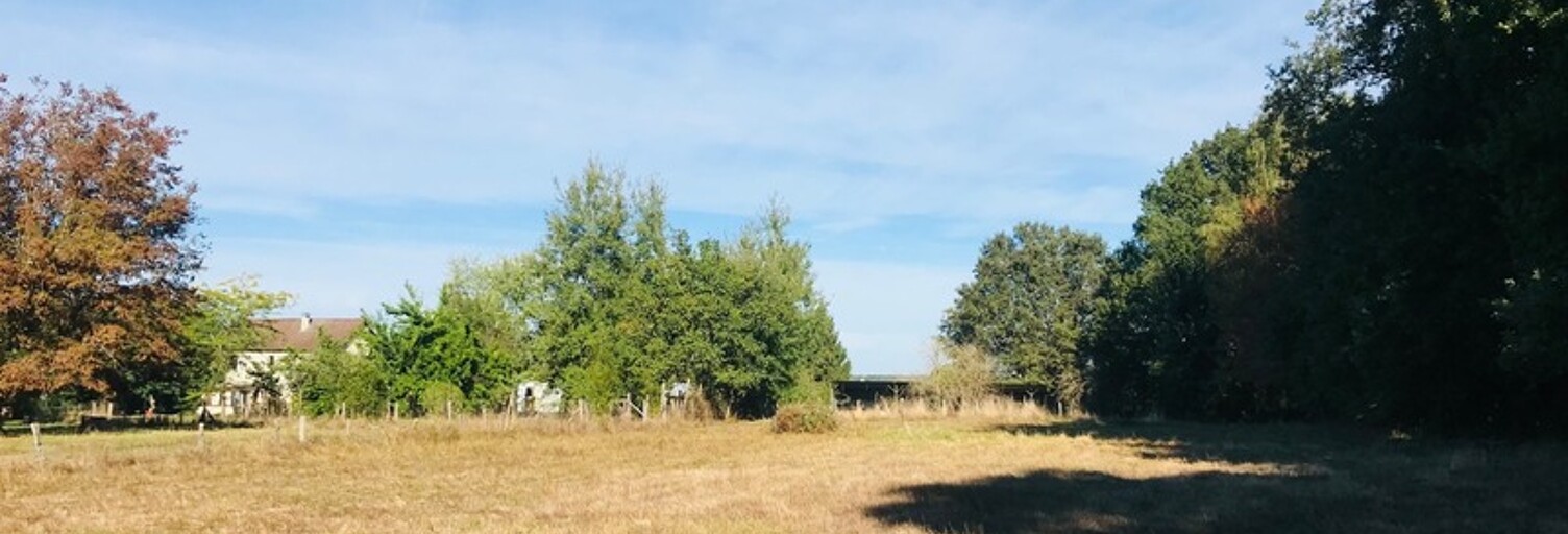 Terrain  9346 m² à vendre à Le Chautay (18150)