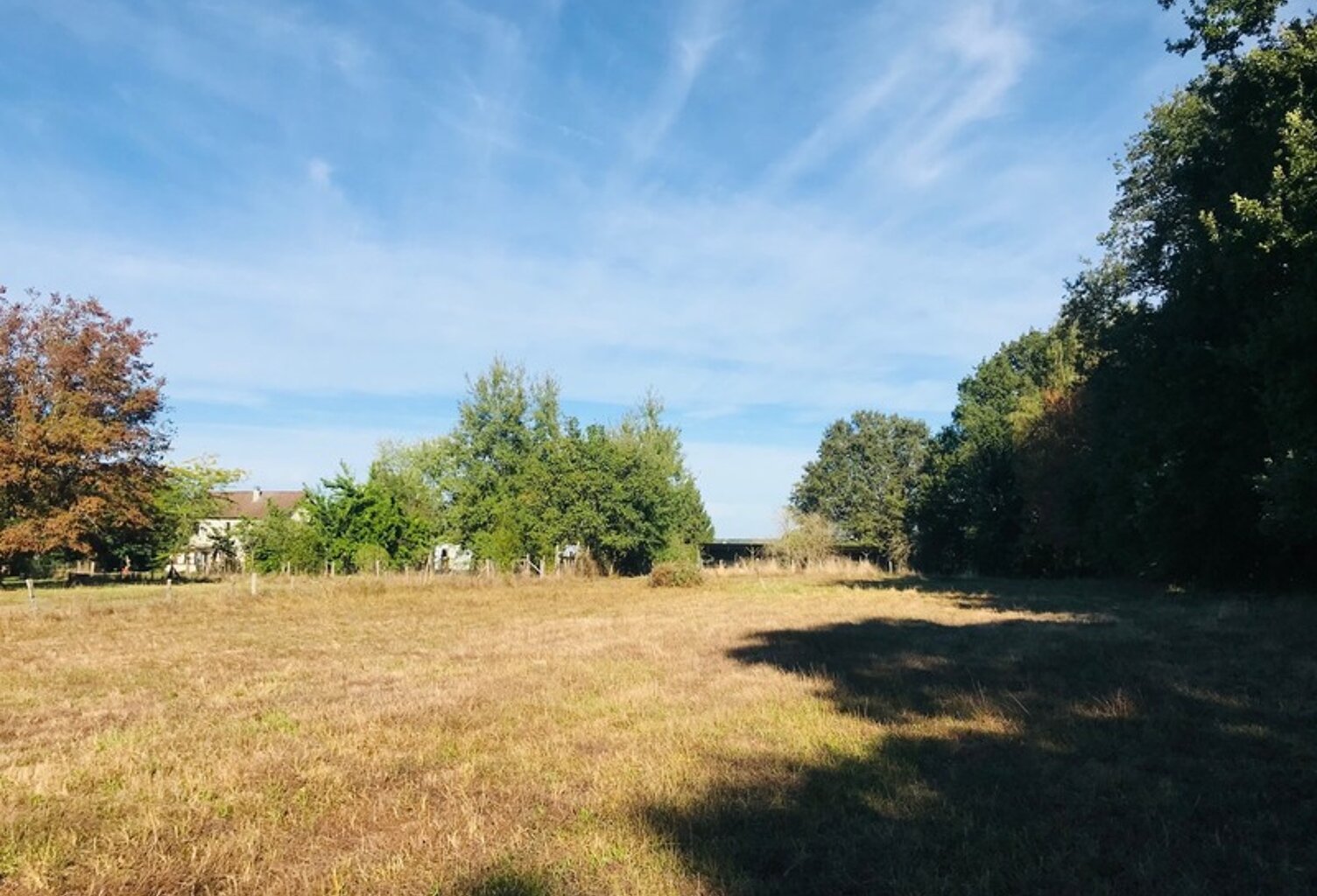 Dpt Cher (18), à vendre LE CHAUTAY terrain constructible 1 hectare — photo 1