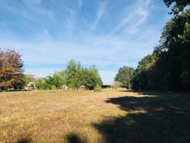 Dpt Cher (18), à vendre LE CHAUTAY terrain constructible 1 hectare — photo du bien