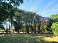 Dpt Cher (18), à vendre LE CHAUTAY terrain constructible 1 hectare — photo 3