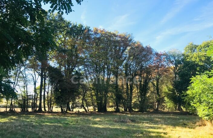 Dpt Cher (18), à vendre LE CHAUTAY terrain constructible 1 hectare — photo 3