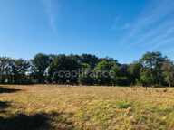 Dpt Cher (18), à vendre LE CHAUTAY terrain constructible 1 hectare — photo 4