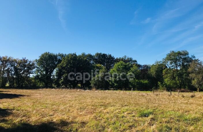 Dpt Cher (18), à vendre LE CHAUTAY terrain constructible 1 hectare — photo 4