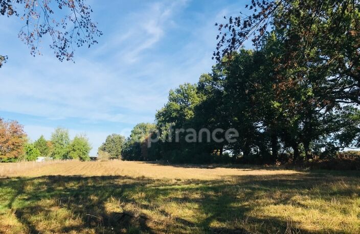 Dpt Cher (18), à vendre LE CHAUTAY terrain constructible 1 hectare — photo 5