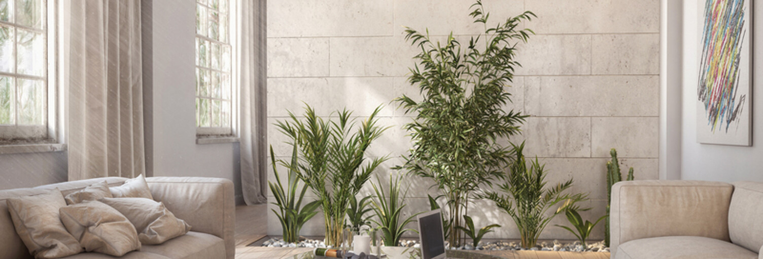 Appartement 3 Pièces 68 m² à vendre à Villeurbanne (69100)