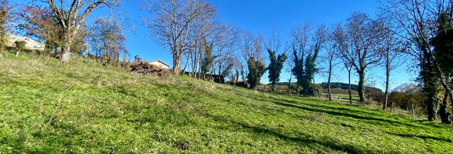 Terrain  1325 m² à vendre à Cremeaux (42260)