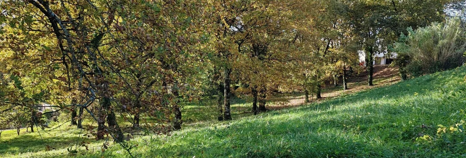 Terrain  2314 m² à vendre à Carmaux (81400)