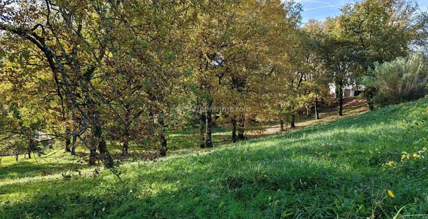 Vente terrain  2314 m² Carmaux (81400) — photo 1