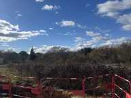 Terrain d'exception — photo 3
