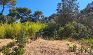 Terrain 506 m² à construire Martigues (13500)