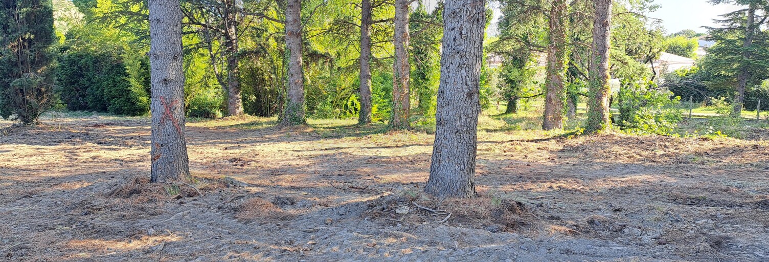 Terrain 736 m² à construire Pélissanne (13330)