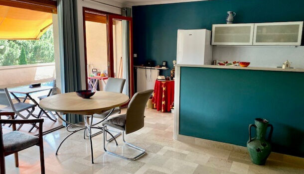 Appartement 2 pièces  à louer Amélie-les-Bains-Palalda 66110