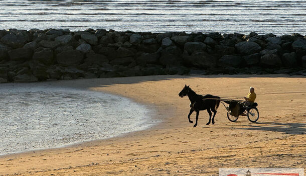 Villa / Maison 12 pièces  à vendre Châtelaillon-Plage 17340