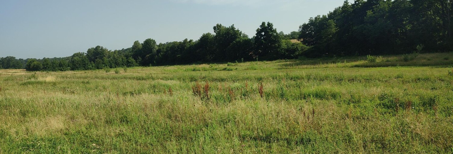 Terrain  675 m² à vendre à Parisot (81310)