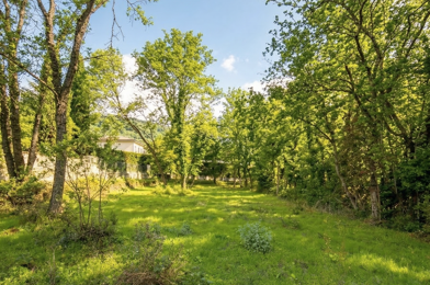 Terrain  445000 €