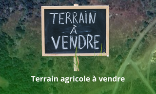 Terrain  60000 m² à vendre à Caux (34720)