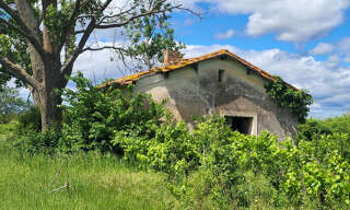 Terrain  60000 m² à vendre à Caux (34720)