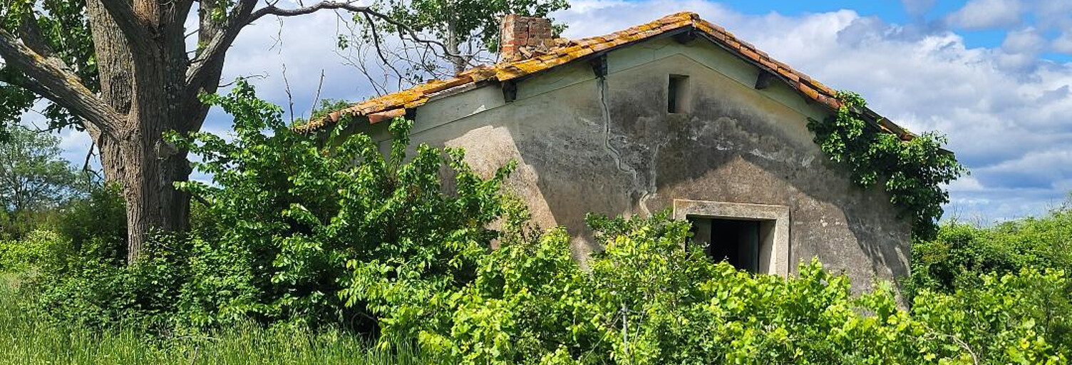 Terrain  60000 m² à vendre à Caux (34720)