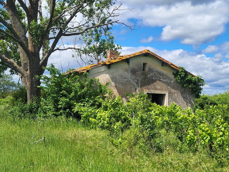 Terrain agricole 60 000 m2 — photo 1