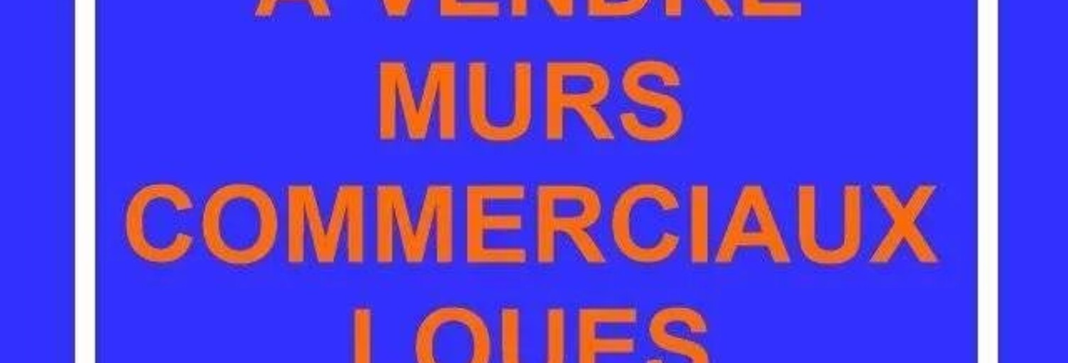 Immeuble  175 m² à vendre à Vierzon (18100)