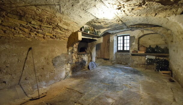 Propri&eacute;t&eacute; 10 pièces  à vendre Saint-Léger-sur-Dheune 71510