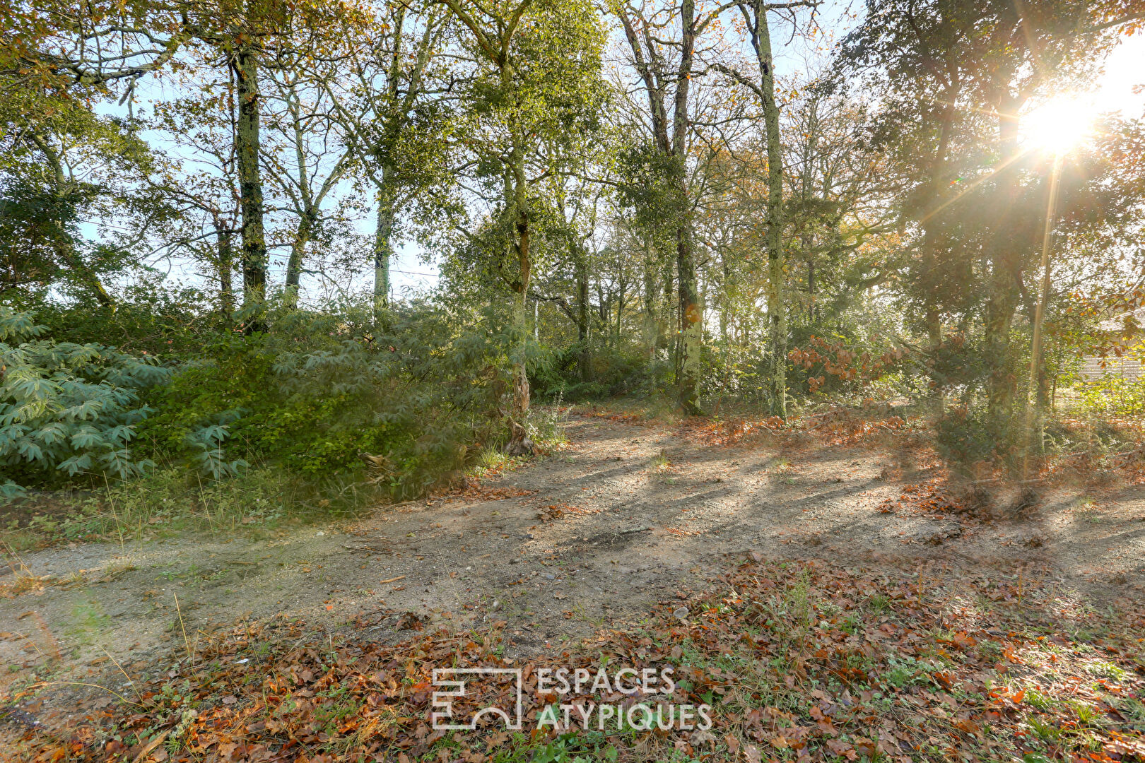 Terrain  à vendre Soustons 40140