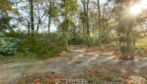Terrain  à vendre Soustons 40140