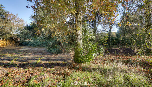 Terrain  à vendre Soustons 40140