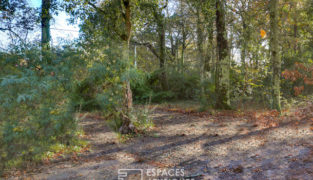 Terrain  à vendre Soustons 40140