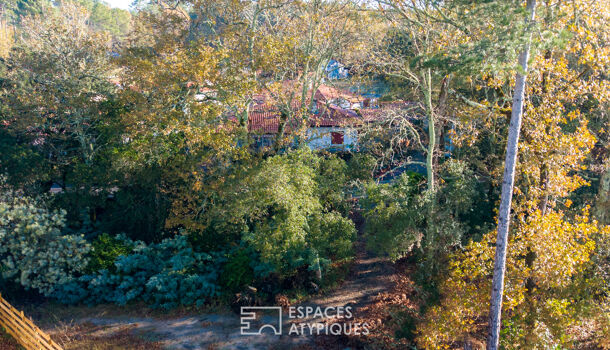 Terrain  à vendre Soustons 40140