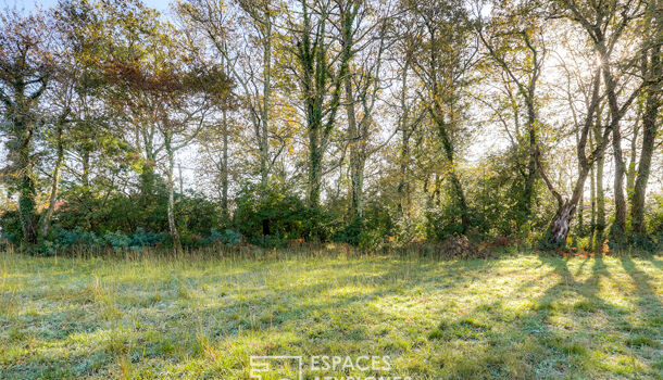 Terrain  à vendre Soustons 40140