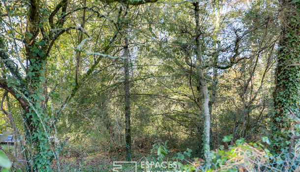 Terrain  à vendre Soustons 40140