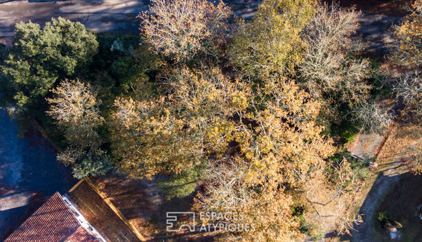 Terrain  à vendre Soustons 40140