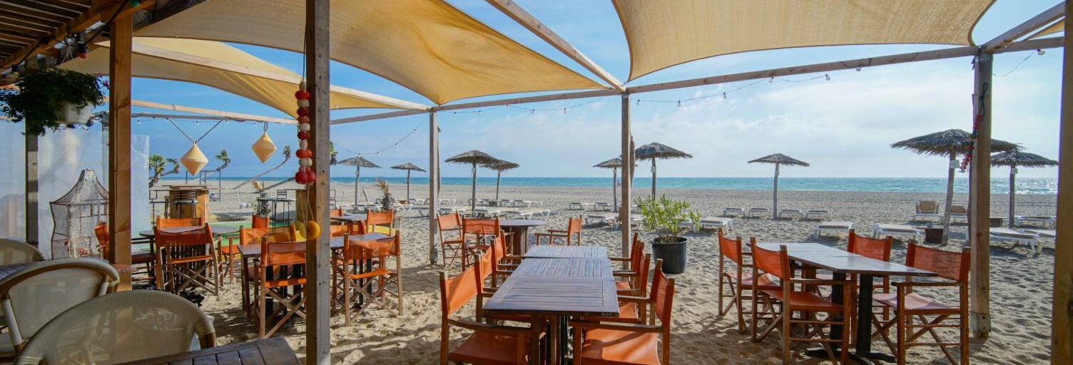 Commerce  1500 m² à vendre à Le Barcarès (66420)