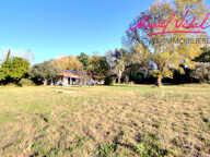 ACHAT - ST CYPRIEN MAS PLAIN PIED - 7178M2 DE TERRAIN — photo 2