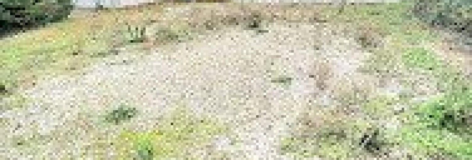 Maison 6 Pièces 140 m² à vendre à Loire-sur-Rhône (69700)