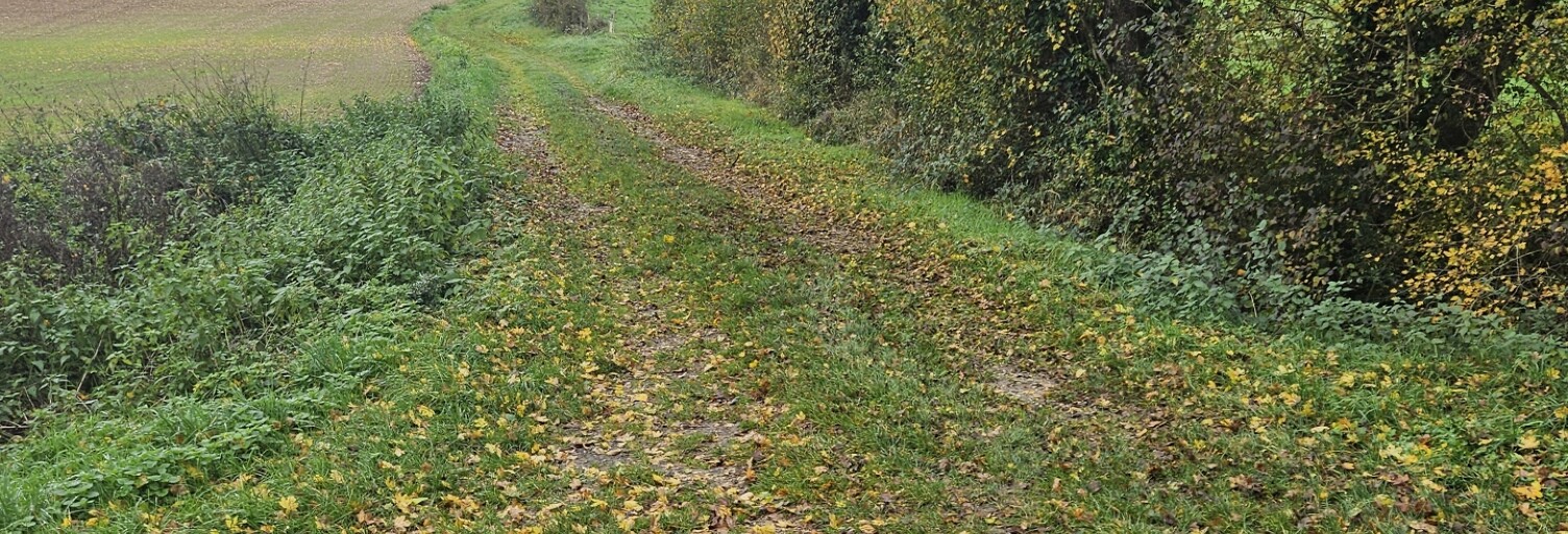 Terrain  1950 m² à vendre à Villeneuve-sur-Yonne (89500)