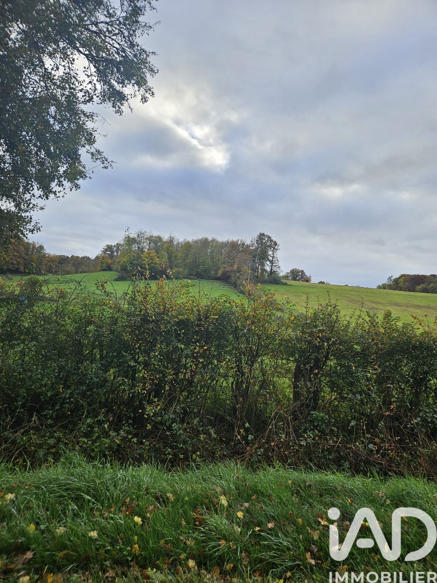 Villeneuve-Sur-Yonne - 1950m²