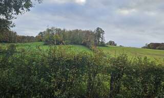 Terrain  1950 m² à vendre à Villeneuve-sur-Yonne (89500)