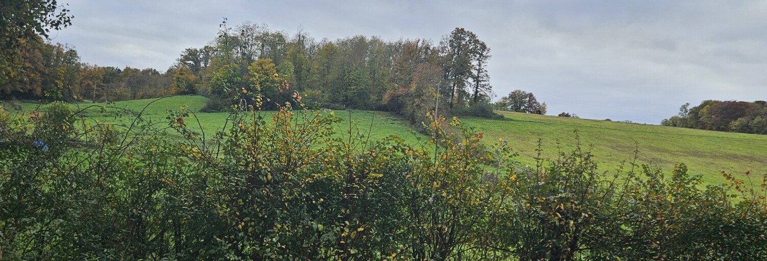 Terrain  1950 m² à vendre à Villeneuve-sur-Yonne (89500)