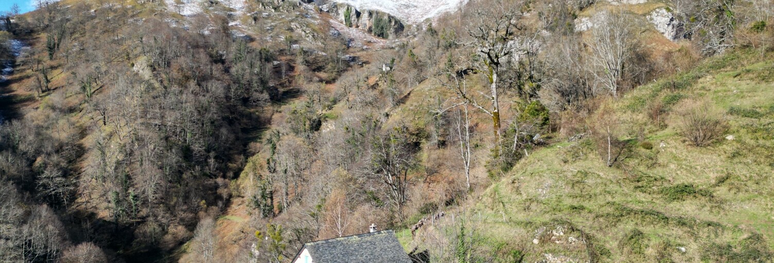 Maison 3 Pièces 47 m² à vendre à Aydius (64490)