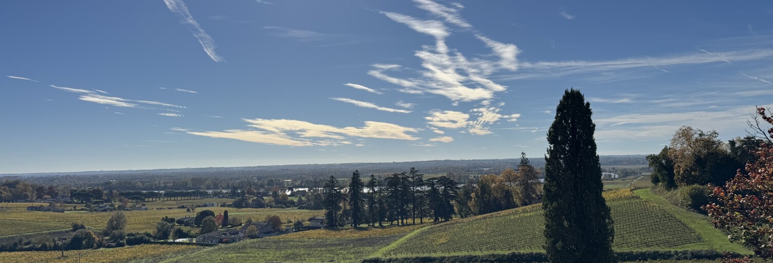 Maison 5 Pièces 140 m² à vendre à Fronsac (33126)