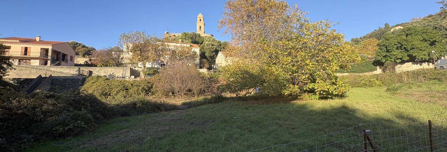 Terrain  1880 m² à vendre à Patrimonio (20253)
