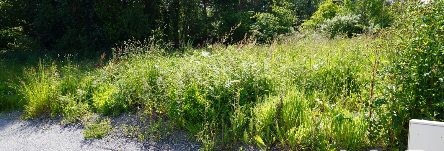 Terrain  503 m² à vendre à Lesneven (29260)