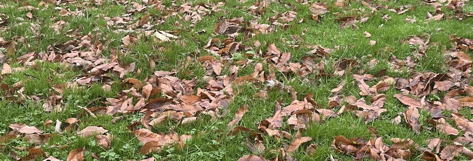 Terrain  491 m² à vendre à Locoal-Mendon (56550)