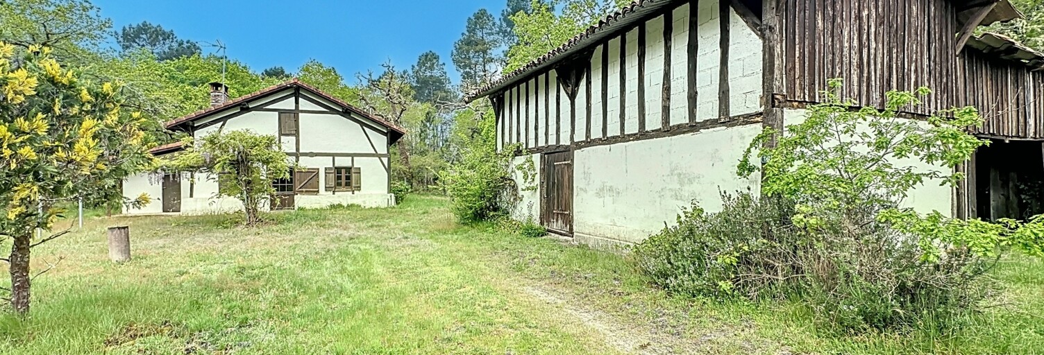 Maison 4 Pièces 90 m² à vendre à Arue (40120)