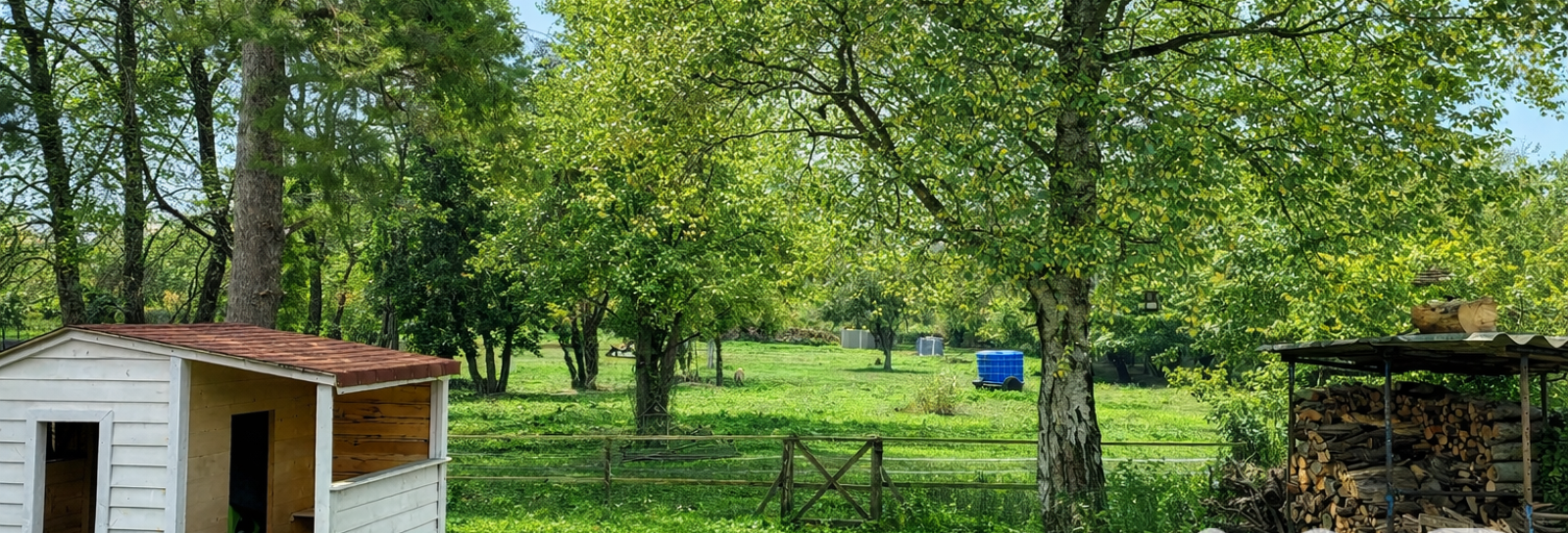 Maison 3 Pièces 90 m² à vendre à Crèvecœur-sur-l'Escaut (59258)