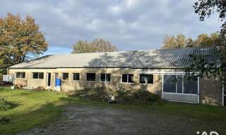 Commerce  400 m² à vendre à Mauves-sur-Loire (44470)